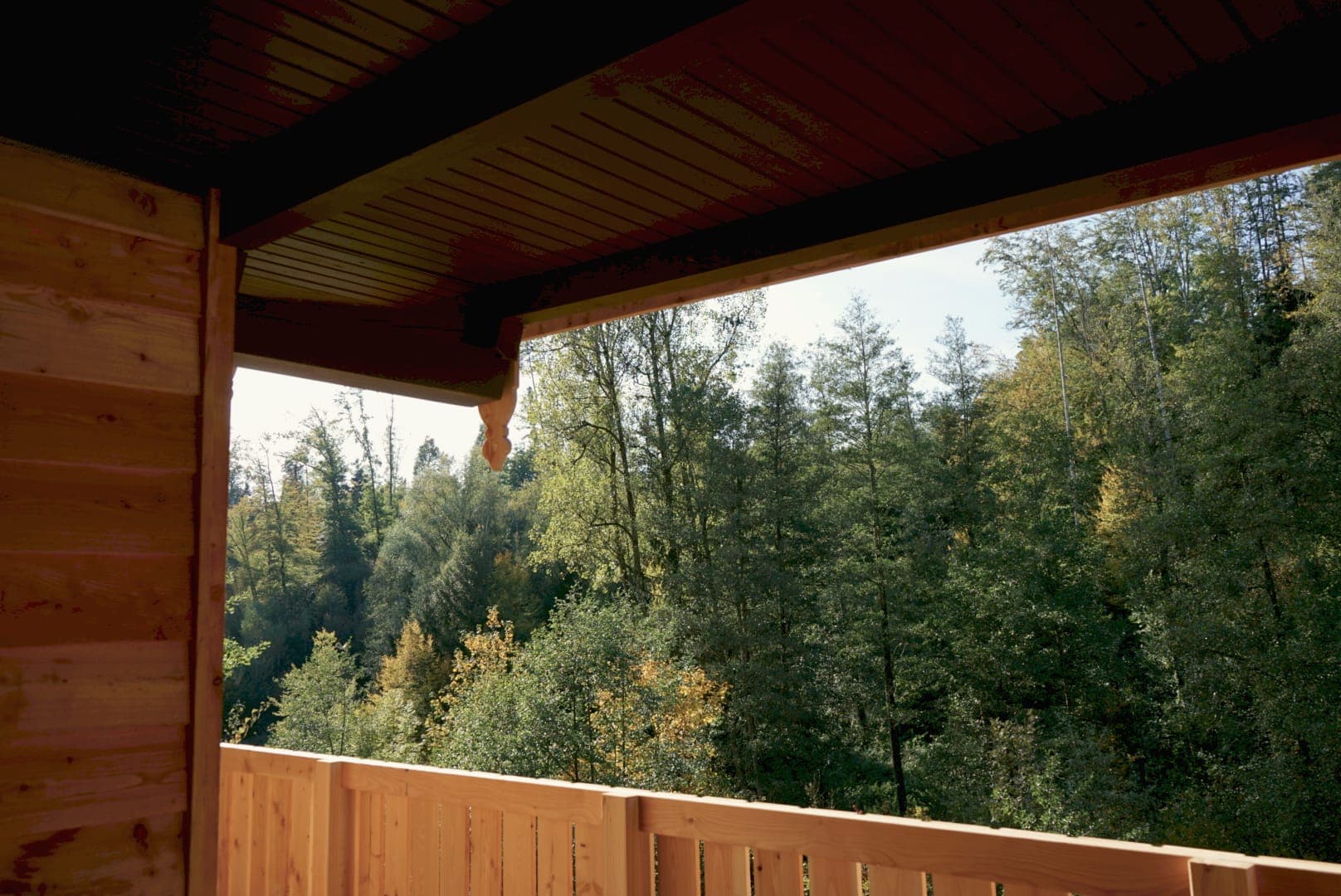 Überdachter Balkon mit Blick in die Fichten und Laubbäume