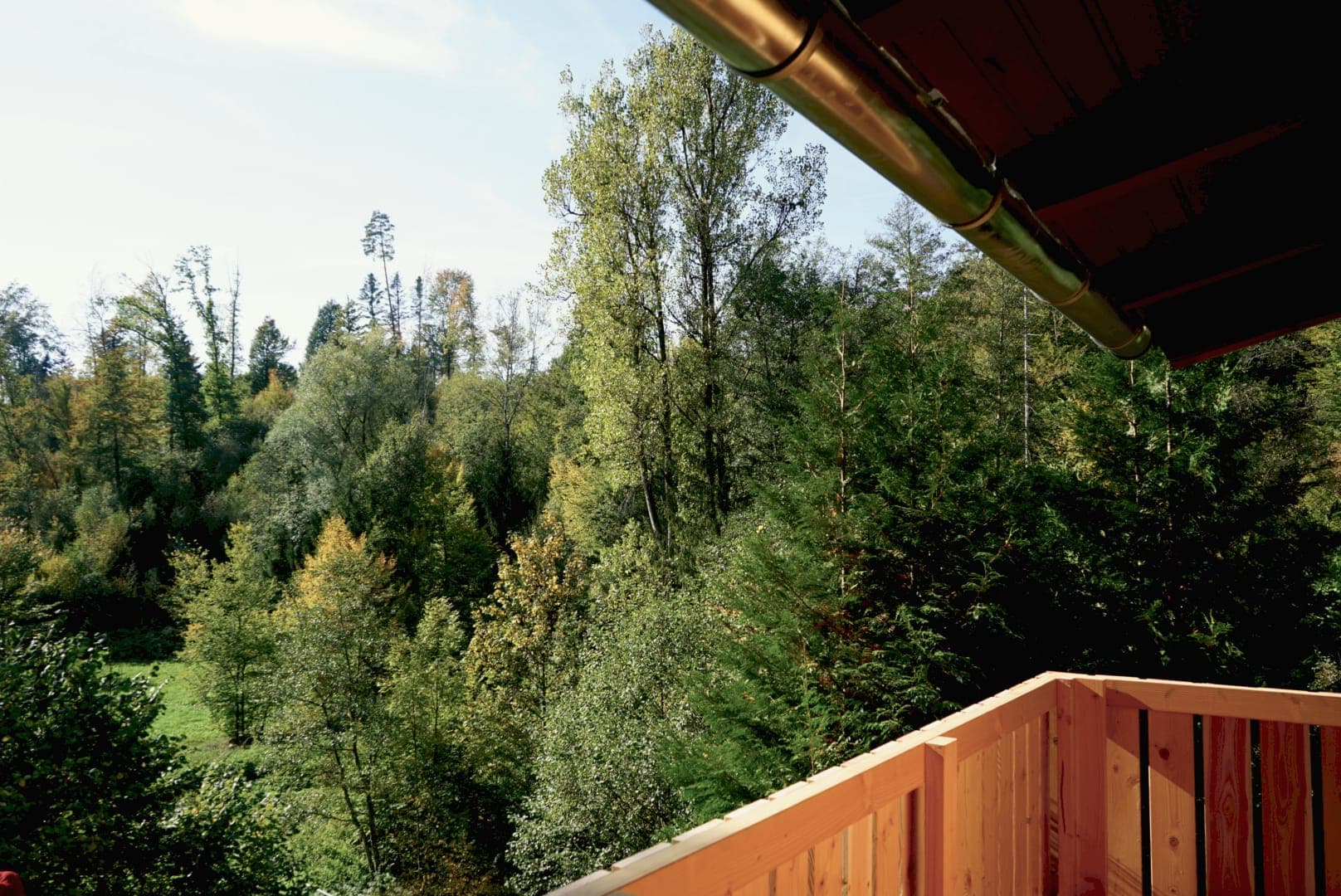 Blick vom Balkon über das bewaldete Tal