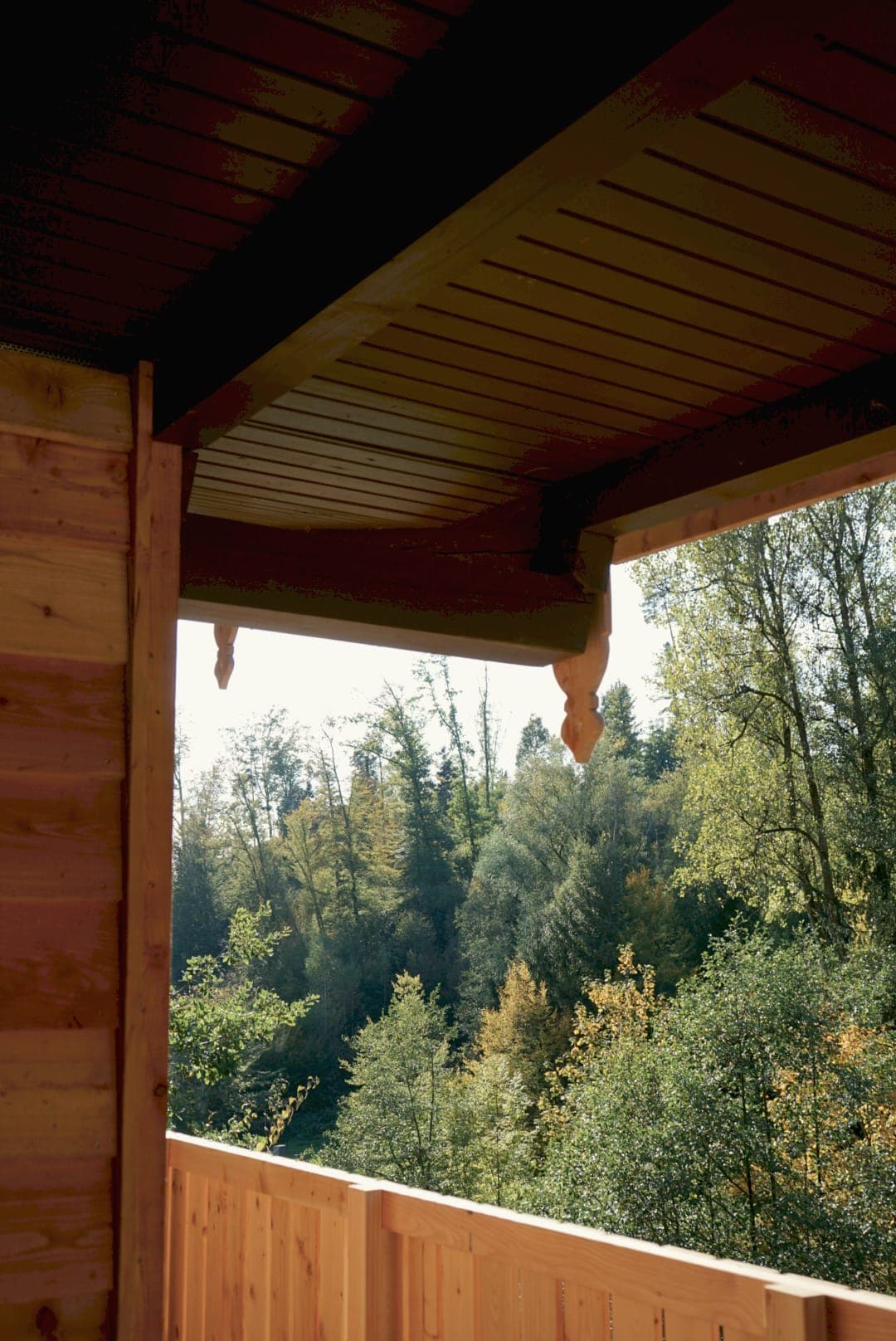 Blick vom überdachten Balkon in den herbstlichen Wald