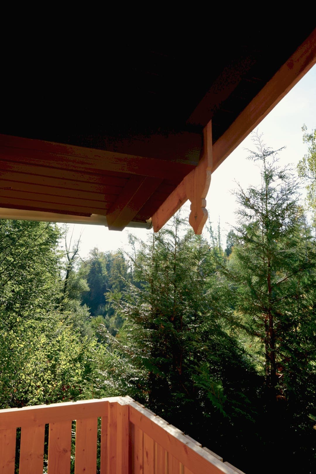 Verzierter Dachgiebel und Balkon mit Blick in den Fichtenwald