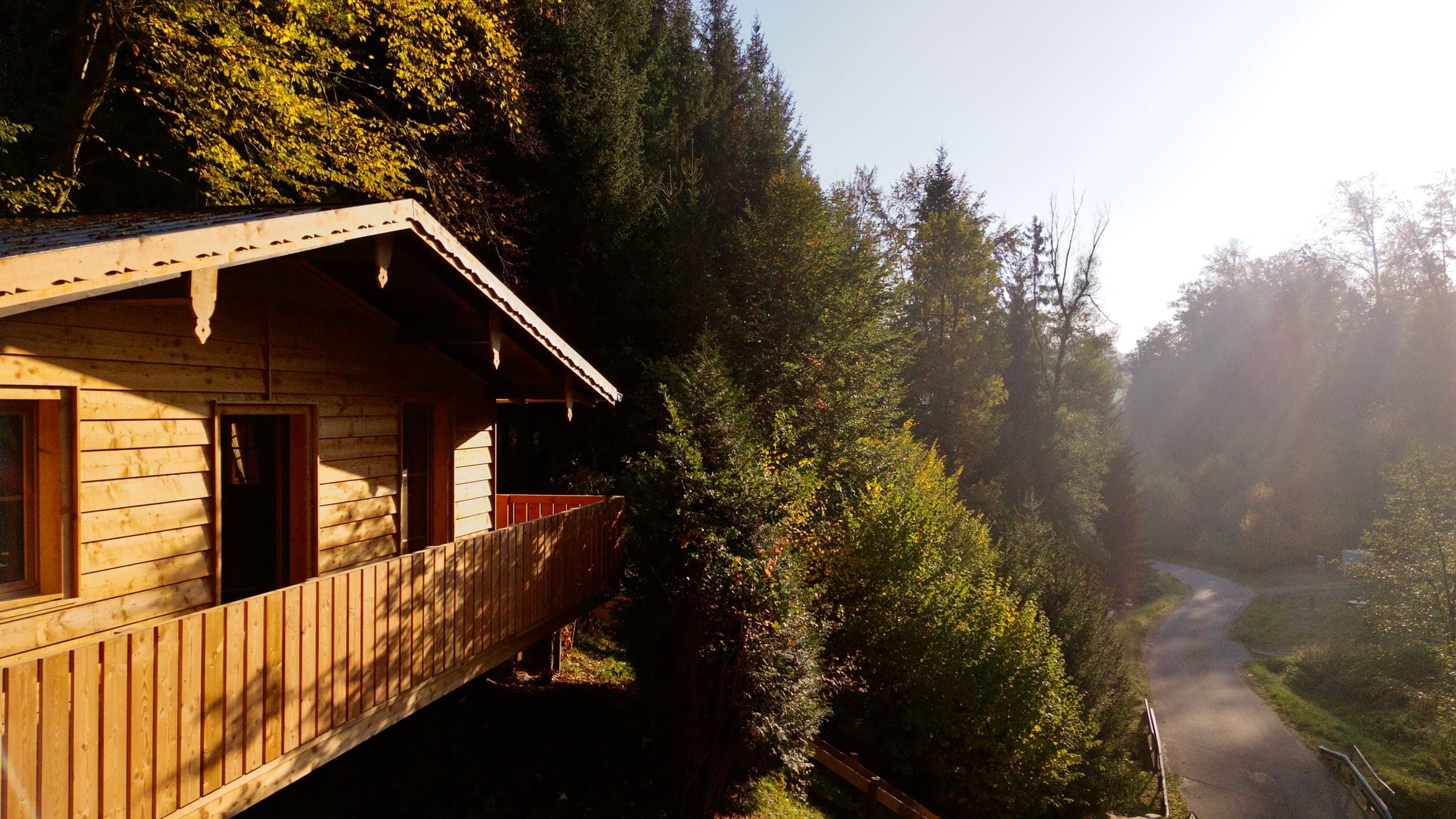 Die WALDRAUM-Hütte mit Balkon am Waldhang im Morgenlicht