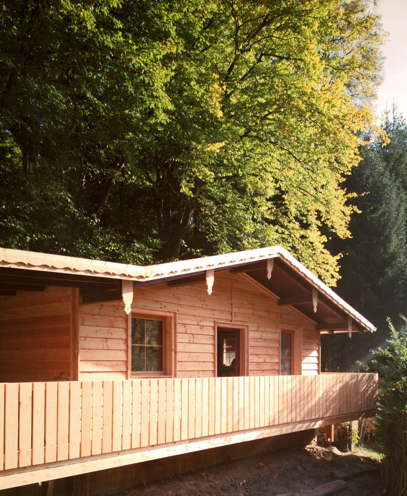 Die WALDRAUM-Hütte mit langem Holzbalkon unter einer goldenen Buchenkrone